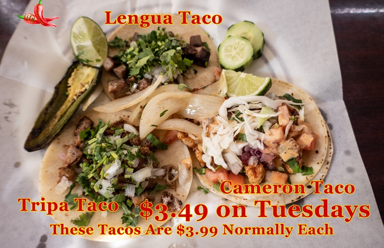 MenudoP1040393780x520