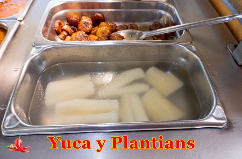 YucaPlantiansP1040533780x520